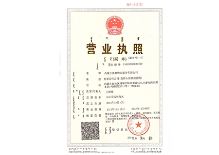 嘉泰營業執照副本